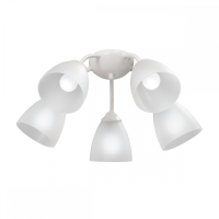 НЕ ПУБЛИКОВАТЬ!!! ЗАПРЕЩЕНЫ ПРОДАЖИ! Потолочная люстра Vitaluce V3737-0/5P