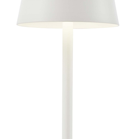 Настольная лампа декоративная F-promo Pyari 4614-1T 