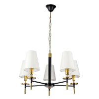 Нарушена упаковка!  <648767> Подвесная люстра Arte Lamp Riccardo A4075LM-5BK