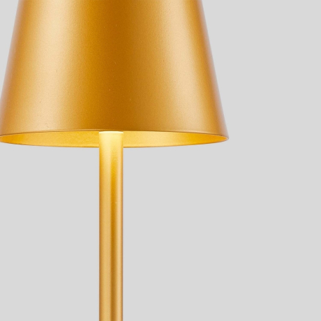 настольный светильник F-Promo Pyari 4616-1T 