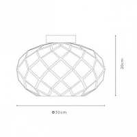Потолочный светильник Lucide Wolfram 21117/30/02