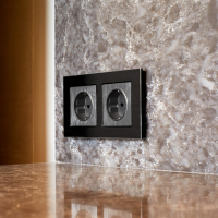 Рамка на 2 поста (черный алюминий) Aluminium Werkel W0021708