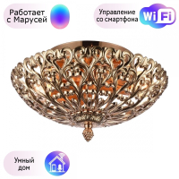 Светильник с поддержкой Маруси потолочный Omnilux OML-75907-03-M