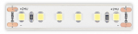 Лента светодиодная ST-Luce  ST1001.414.65.1