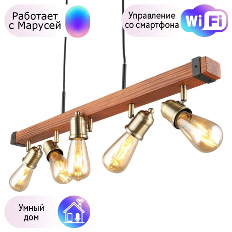 Светильник с поддержкой Маруси подвесной Omnilux OML-94613-05-M 