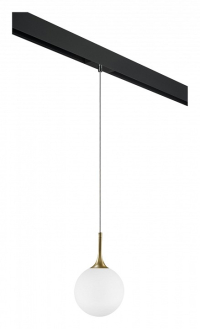 Трековый светильник Lightstar Globo (813022+595007) PRO813022