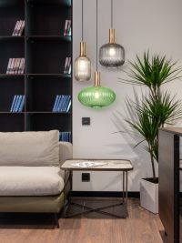 Подвесной светильник Zelma Freya FR8012PL-01GN