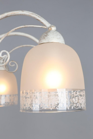 OML-54907-08 Потолочная люстра Omnilux Ferraro 