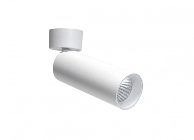 Спот (блок питания в комплекте) Donolux Rollo DL18895R20N1W ST 