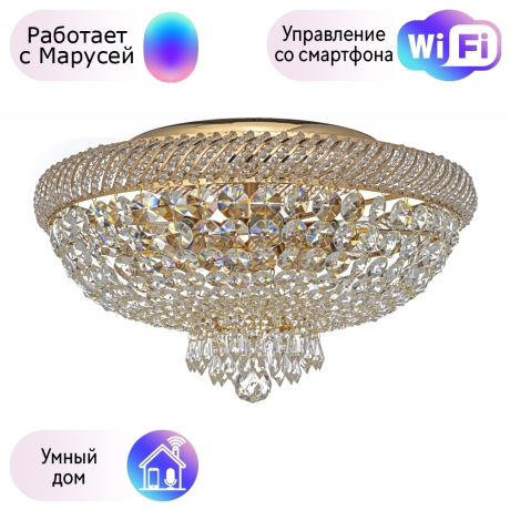 Потолочный светильник Dio DArte Elite с поддержкой Маруся Bari E 1.2.45.100 G-М 