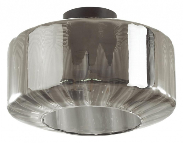 Накладной светильник Odeon Light Binga 4746/1C 