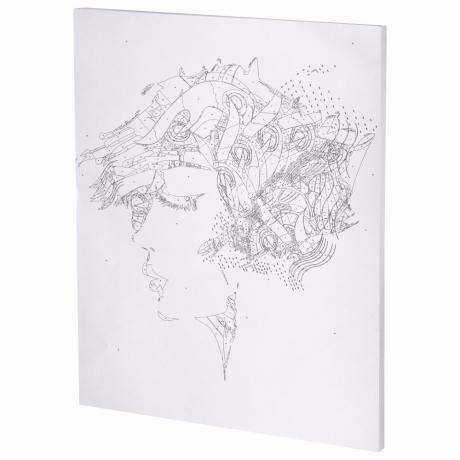 Картина по номерам 40х50 см, ОСТРОВ СОКРОВИЩ "Строгий профиль", на подрамнике, акрил, кисти, 663358 (663358)