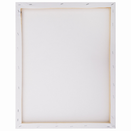 Картина по номерам 40х50 см, ОСТРОВ СОКРОВИЩ "Строгий профиль", на подрамнике, акрил, кисти, 663358 (663358)