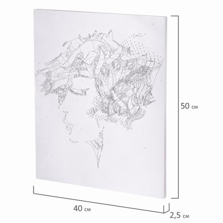 Картина по номерам 40х50 см, ОСТРОВ СОКРОВИЩ "Строгий профиль", на подрамнике, акрил, кисти, 663358 (663358)