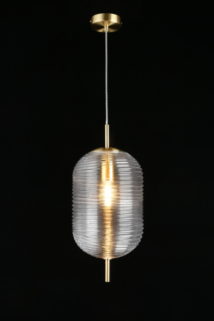 Подвесной светильник с лампочкой APLOYT APL.316.16.01+Lamps 