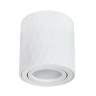 Накладной светильник Arte Lamp Fang A5559PL-1WH 