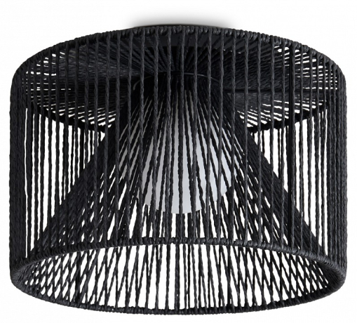 Накладной светильник Freya Cottage FR5405CL-01B1 