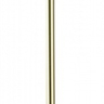 Торшер Indigo Canto 11026/4F Gold 