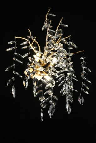 Бра Aployt Gertunia APL.847.01.03 