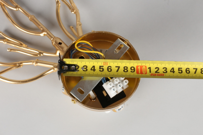 Бра Aployt Gertunia APL.847.01.03 