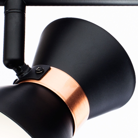 Спот Arte Lamp Baltimore A1406AP-2BK 