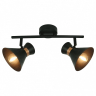 Спот Arte Lamp Baltimore A1406AP-2BK 