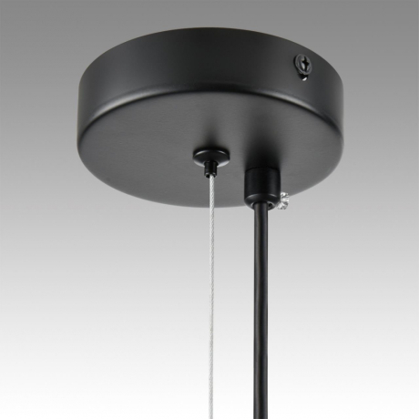 Подвесной светильник Lumion Torina 8117/5 