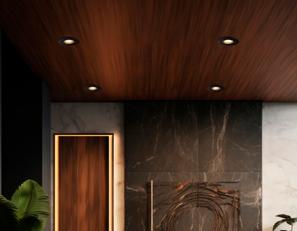 Встраиваемый светильник Ambrella Light TN TN102451 