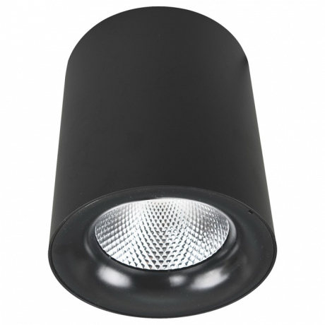 Накладной светильник Arte Lamp Facile A5112PL-1BK 