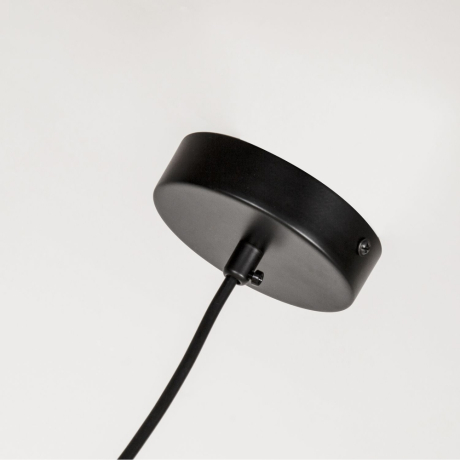 Подвесная люстра Gnomes Favourite с поддержкой Алиса 4095-5P-А 