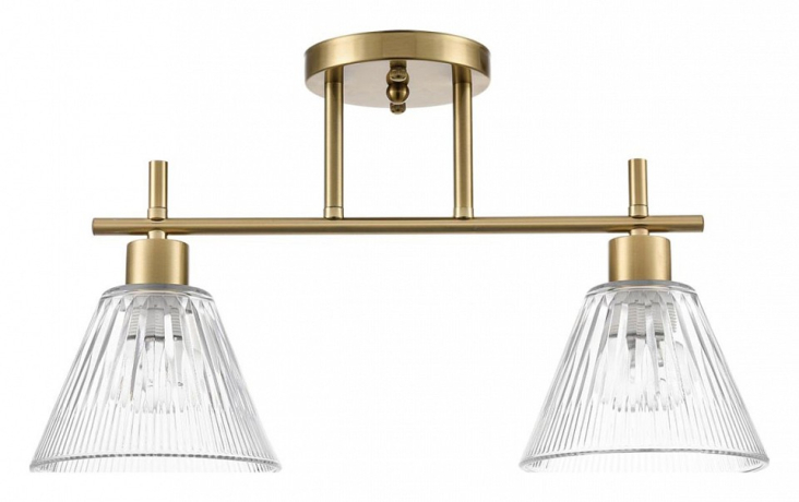 Светильник на штанге Lumion Vivian 8188/2C 