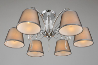 OML-66707-06 Потолочная люстра Omnilux Recco