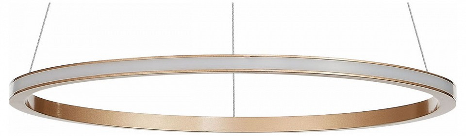 Подвесной светильник ST-Luce ST604 OUT ST604.243.22 