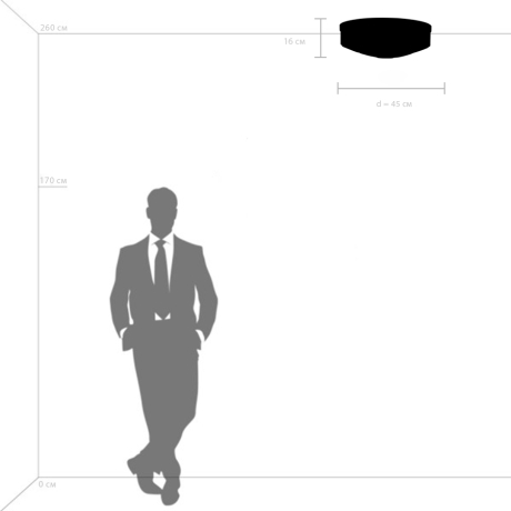 Потолочный светильник Lightstar Siena 720227 