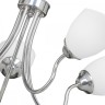 V3581/5PL Потолочная люстра на штанге Vitaluce