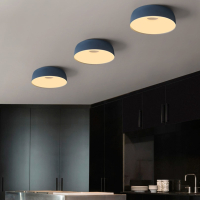 Потолочный светильник Djembé D18 Blue ImperiumLoft BRIM01 (184477-26)