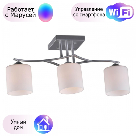 Люстра с поддержкой Маруси потолочная Omnilux OML-55307-03-M