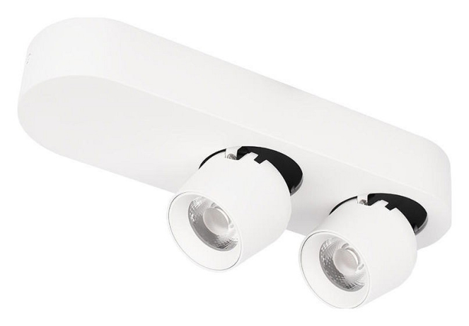 Накладной светильник Loft it Quiet 10320/2 White 