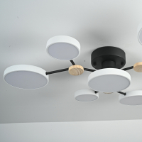 Потолочная люстра Imperiumloft GAMMA gamma01