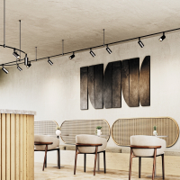 Трековый светильник Technical TR201-1-15W3K-M-BBS Focus Led