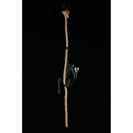 Светильник подвесной Aployt Magali APL.309.16.01 