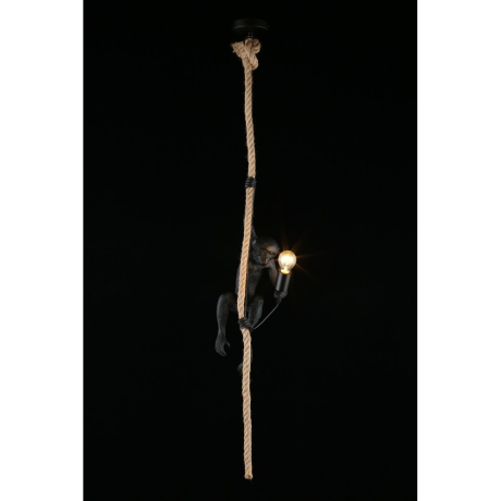 Светильник подвесной Aployt Magali APL.309.16.01 