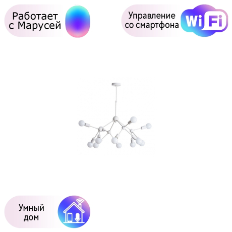 Подвесная люстра Arte Lamp Matrix с поддержкой Маруся A3064SP-12WH-М 