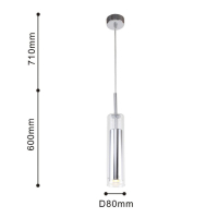 2555-1P Подвесной светильник Favourite Aenigma