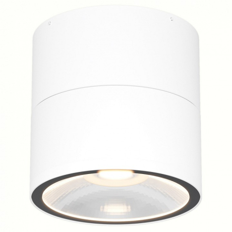 Накладной светильник Maytoni Outdoor Spin O310CL-L12W3K 