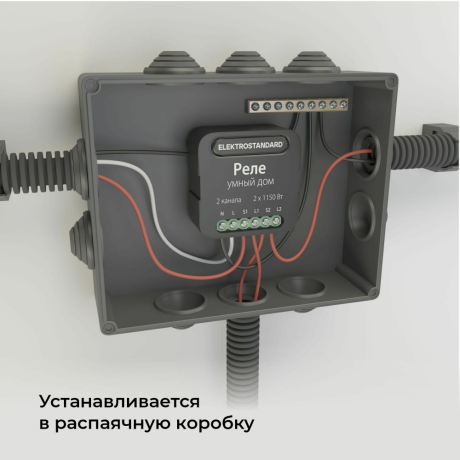 Умное Wi-Fi реле 2 канала Elektrostandard 76007/00 (a059326)