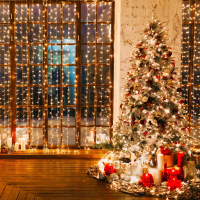 Гирлянда занавес 2*3м IP20 Eurosvet 200-002 белый (a044086)