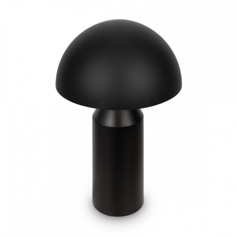 Настольная лампа Freya Eleon FR5218TL-02B1 