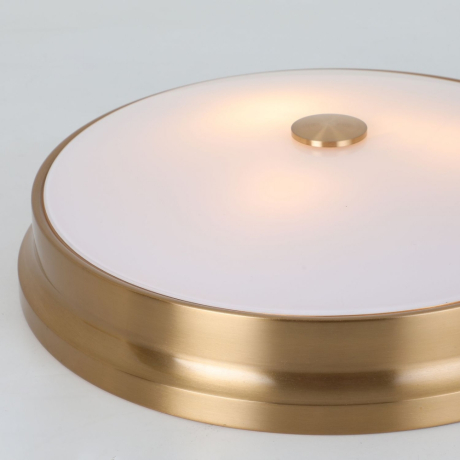 Потолочный светильник Favourite Pannikin с поддержкой Маруся 2375-3C-М 