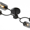 Потолочная люстра Vitaluce V2823 V2823-1/4PL
